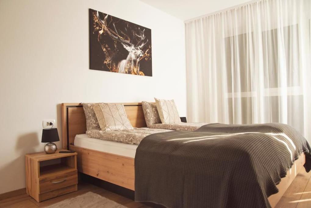 5 Dream Apartment 5 Cu Parcare Privata オラデア エクステリア 写真