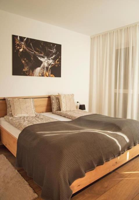 5 Dream Apartment 5 Cu Parcare Privata オラデア エクステリア 写真