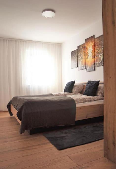 5 Dream Apartment 5 Cu Parcare Privata オラデア エクステリア 写真