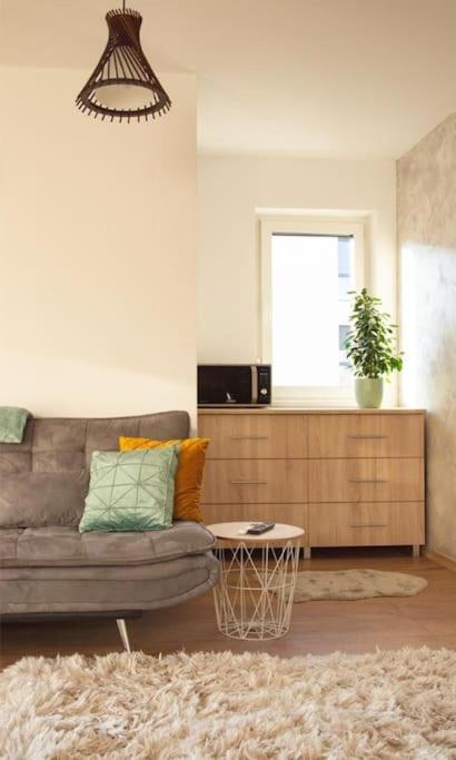 5 Dream Apartment 5 Cu Parcare Privata オラデア エクステリア 写真