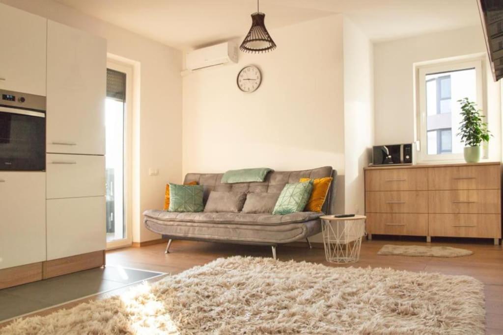 5 Dream Apartment 5 Cu Parcare Privata オラデア エクステリア 写真